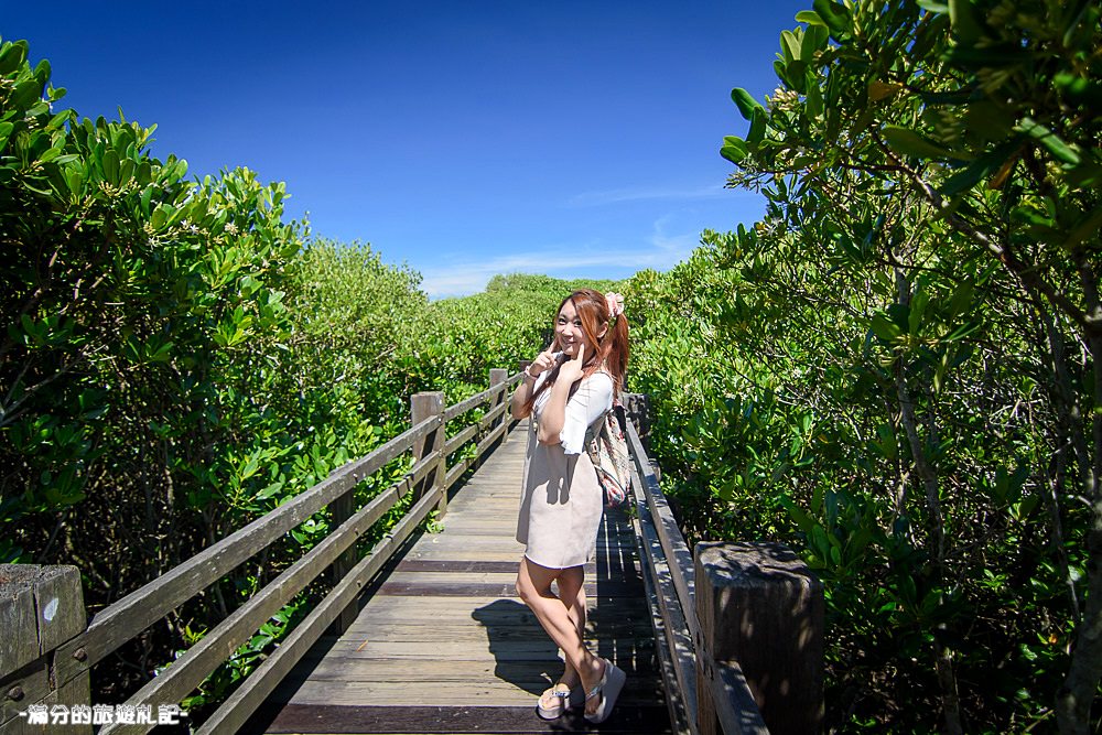 新竹新豐景點》新豐紅樹林公園 紅毛港休憩區 漫遊綠色步道 大自然的生態教室 - 滿分的旅遊札記