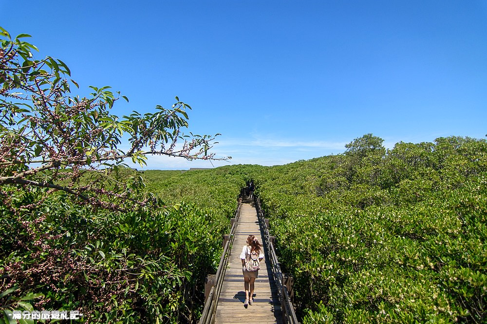 新竹新豐景點》新豐紅樹林公園 紅毛港休憩區 漫遊綠色步道 大自然的生態教室 - 滿分的旅遊札記