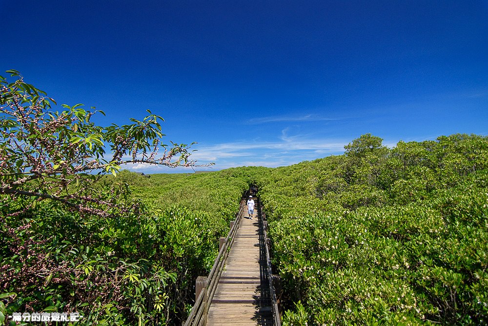 新竹新豐景點》新豐紅樹林公園 紅毛港休憩區 漫遊綠色步道 大自然的生態教室 - 滿分的旅遊札記