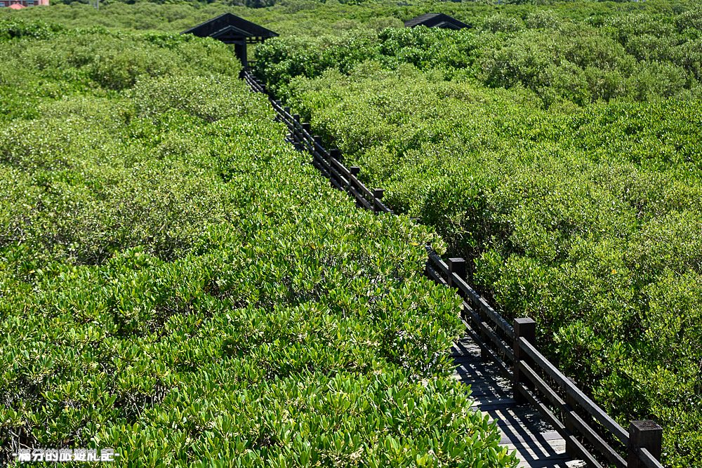 新竹新豐景點》新豐紅樹林公園 紅毛港休憩區 漫遊綠色步道 大自然的生態教室 - 滿分的旅遊札記