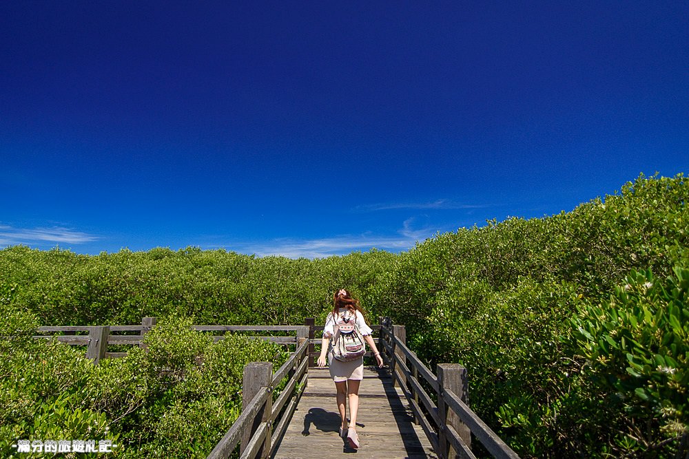 新竹新豐景點》新豐紅樹林公園 紅毛港休憩區 漫遊綠色步道 大自然的生態教室 - 滿分的旅遊札記