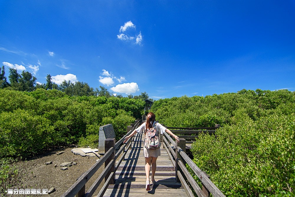 新竹新豐景點》新豐紅樹林公園 紅毛港休憩區 漫遊綠色步道 大自然的生態教室 - 滿分的旅遊札記