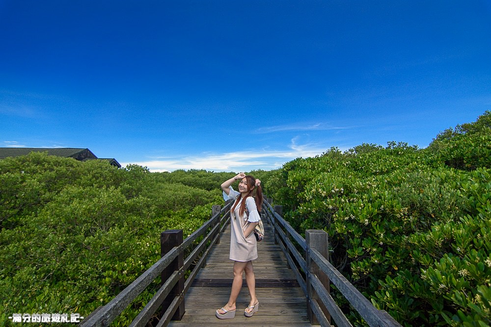 新竹新豐景點》新豐紅樹林公園 紅毛港休憩區 漫遊綠色步道 大自然的生態教室 - 滿分的旅遊札記