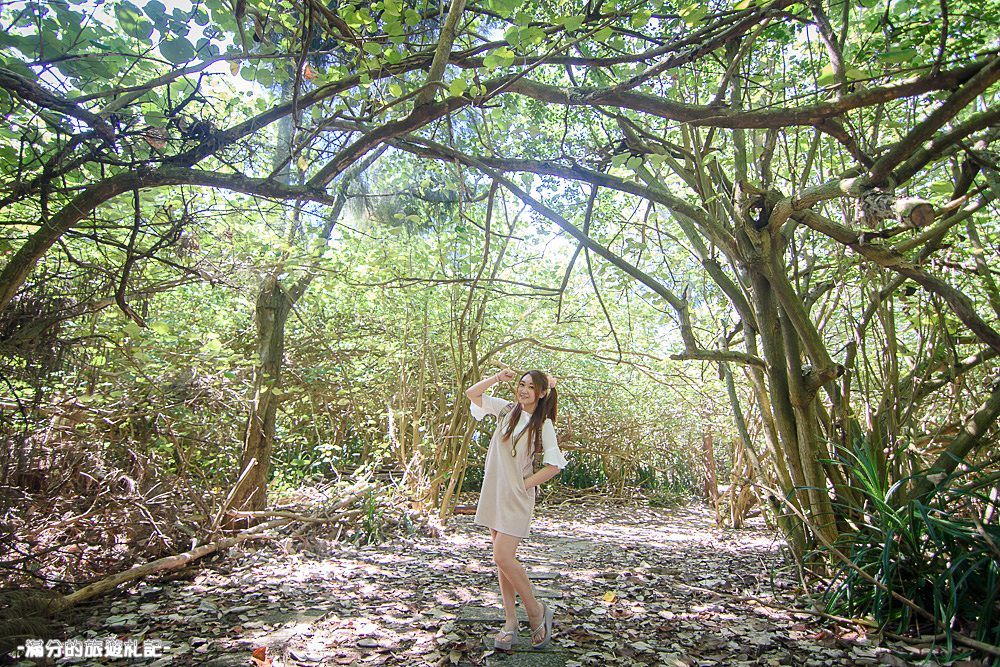 新竹新豐景點》新豐紅樹林公園 紅毛港休憩區 漫遊綠色步道 大自然的生態教室 - 滿分的旅遊札記
