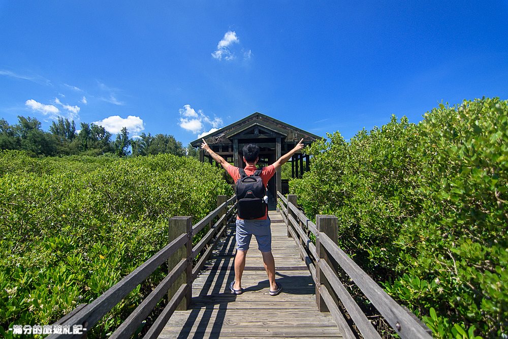 新竹新豐景點》新豐紅樹林公園 紅毛港休憩區 漫遊綠色步道 大自然的生態教室 - 滿分的旅遊札記