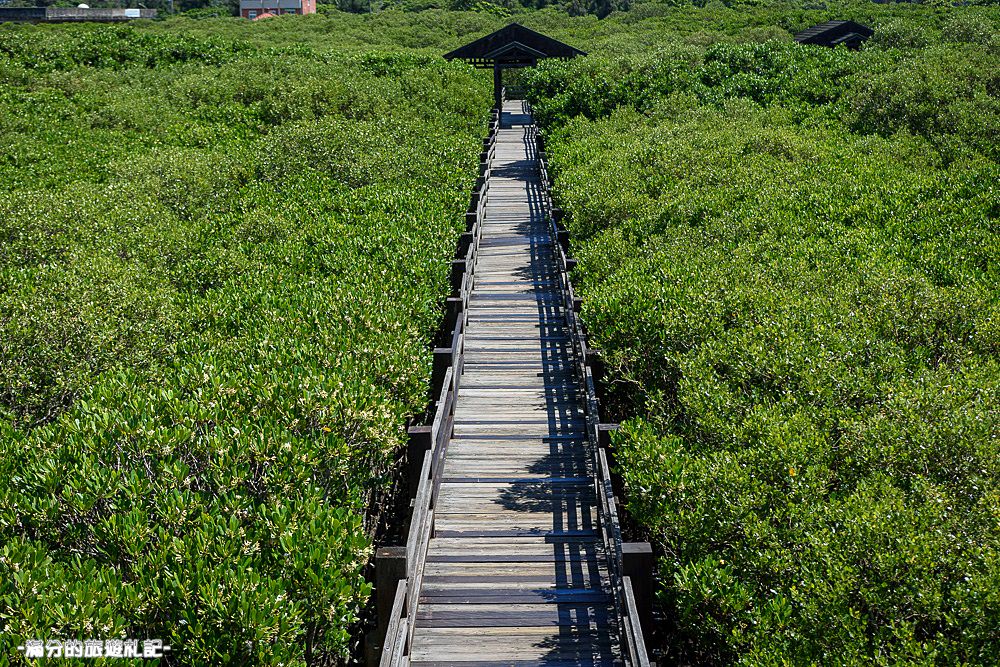新竹新豐景點》新豐紅樹林公園 紅毛港休憩區 漫遊綠色步道 大自然的生態教室 - 滿分的旅遊札記