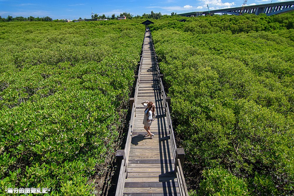 新竹新豐景點》新豐紅樹林公園 紅毛港休憩區 漫遊綠色步道 大自然的生態教室 - 滿分的旅遊札記