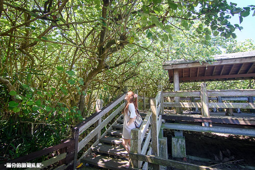 新竹新豐景點》新豐紅樹林公園 紅毛港休憩區 漫遊綠色步道 大自然的生態教室 - 滿分的旅遊札記