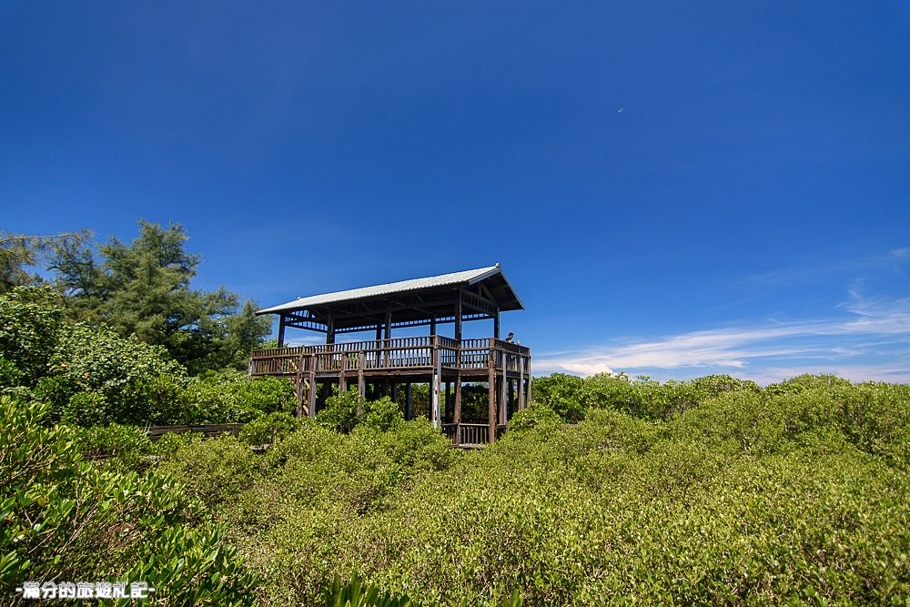 新竹新豐景點》新豐紅樹林公園 紅毛港休憩區 漫遊綠色步道 大自然的生態教室 - 滿分的旅遊札記