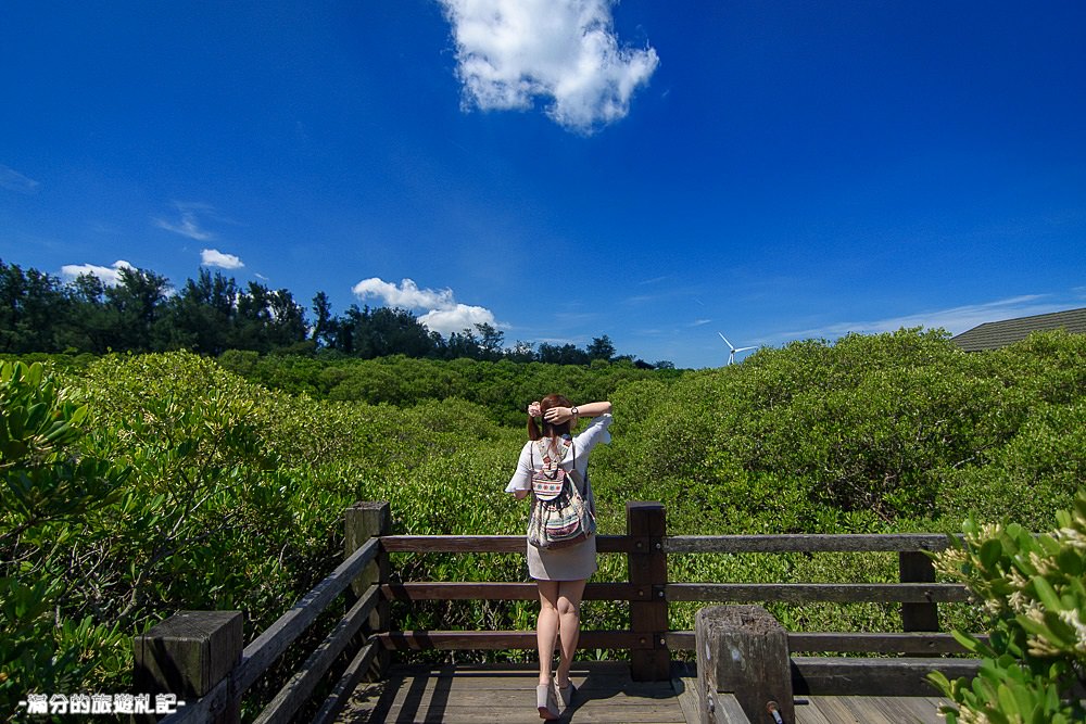 新竹新豐景點》新豐紅樹林公園 紅毛港休憩區 漫遊綠色步道 大自然的生態教室 - 滿分的旅遊札記