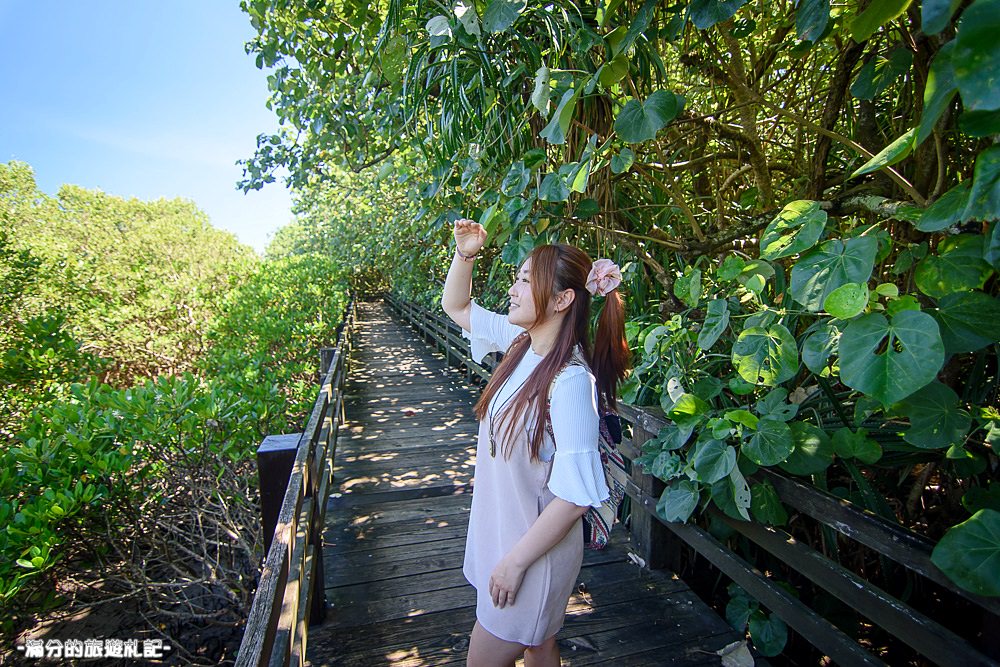 新竹新豐景點》新豐紅樹林公園 紅毛港休憩區 漫遊綠色步道 大自然的生態教室 - 滿分的旅遊札記