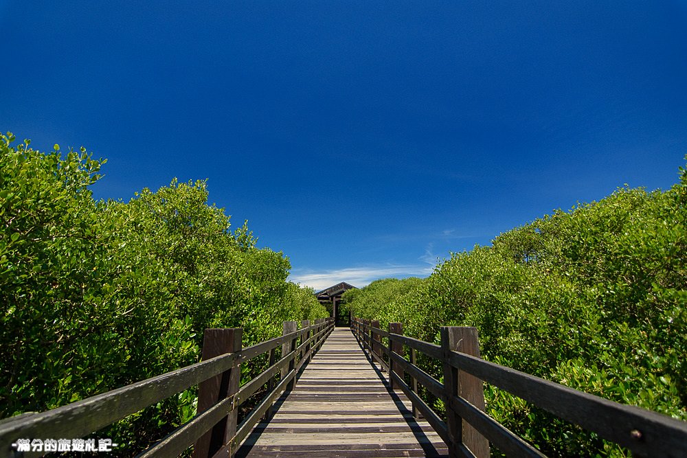 新竹新豐景點》新豐紅樹林公園 紅毛港休憩區 漫遊綠色步道 大自然的生態教室 - 滿分的旅遊札記