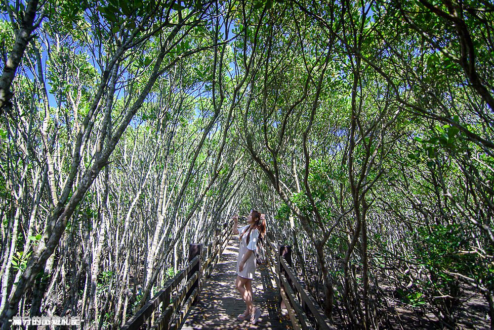 新竹新豐景點》新豐紅樹林公園 紅毛港休憩區 漫遊綠色步道 大自然的生態教室 - 滿分的旅遊札記