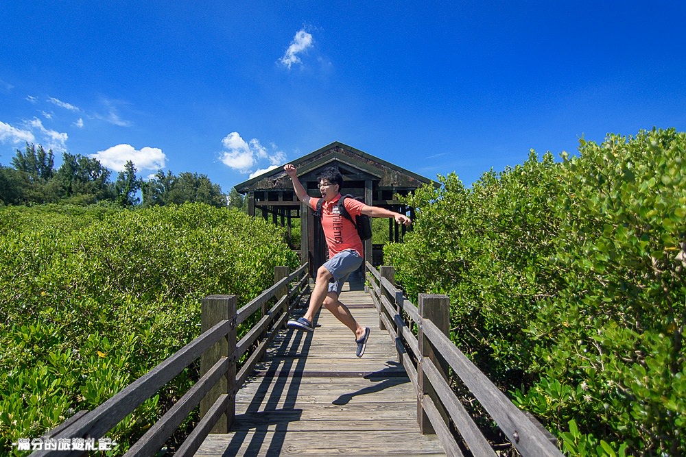 新竹新豐景點》新豐紅樹林公園 紅毛港休憩區 漫遊綠色步道 大自然的生態教室 - 滿分的旅遊札記