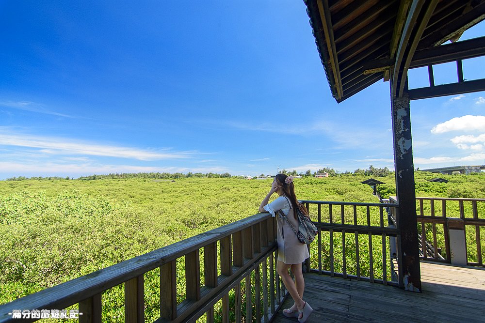新竹新豐景點》新豐紅樹林公園 紅毛港休憩區 漫遊綠色步道 大自然的生態教室 - 滿分的旅遊札記