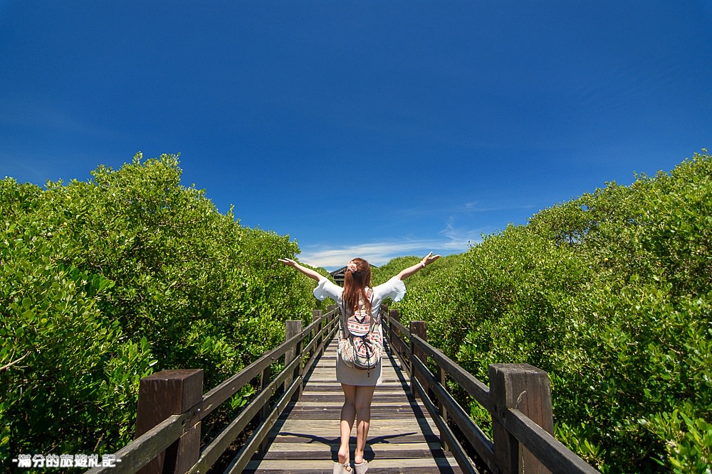 新竹新豐景點》新豐紅樹林公園 紅毛港休憩區 漫遊綠色步道 大自然的生態教室 - 滿分的旅遊札記
