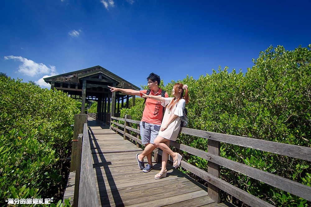 新竹新豐景點》新豐紅樹林公園 紅毛港休憩區 漫遊綠色步道 大自然的生態教室 - 滿分的旅遊札記