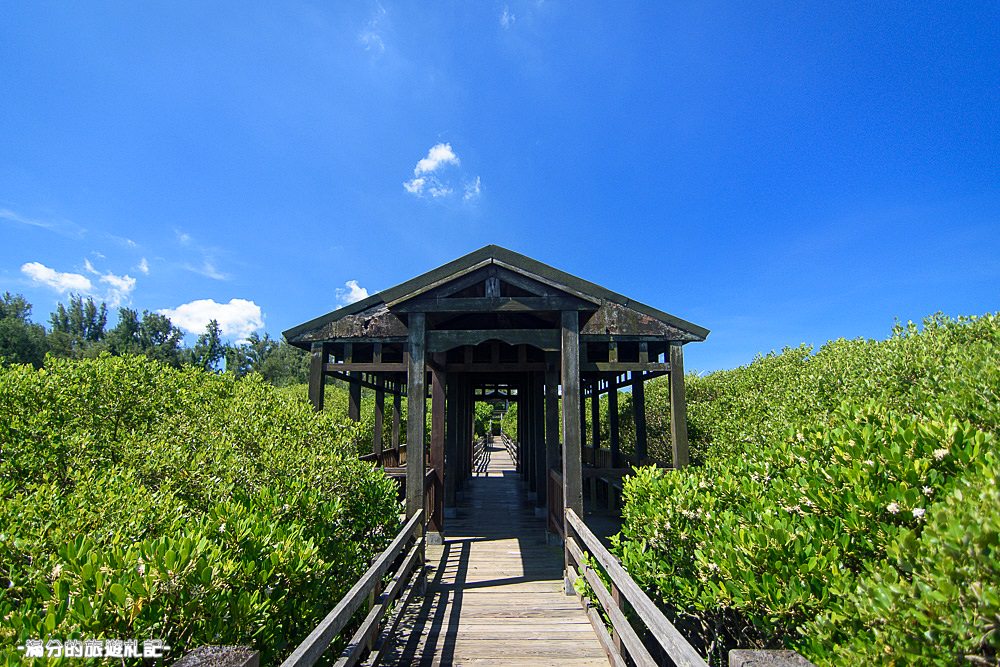 新竹新豐景點》新豐紅樹林公園 紅毛港休憩區 漫遊綠色步道 大自然的生態教室 - 滿分的旅遊札記