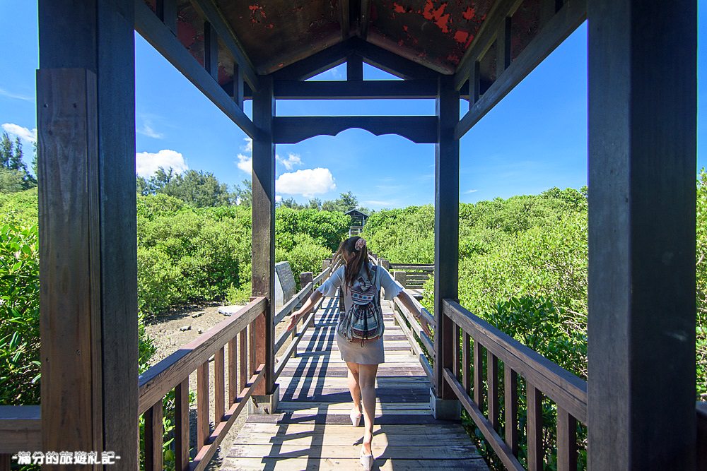 新竹新豐景點》新豐紅樹林公園 紅毛港休憩區 漫遊綠色步道 大自然的生態教室 - 滿分的旅遊札記