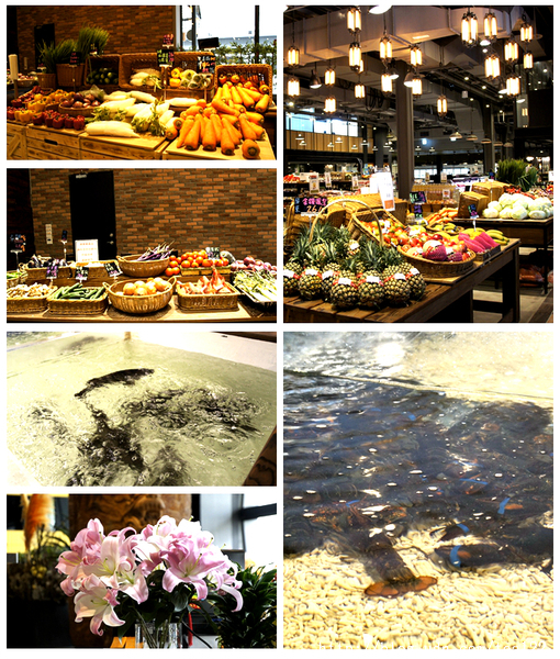 【高雄205公車一日遊】視覺味覺與書香菜飯香一次到位的創新體驗台鋁生活廣場