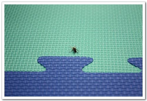 《幸福行》1週1館之林口‧歡樂寶貝親子館(家樂福便利購旁)