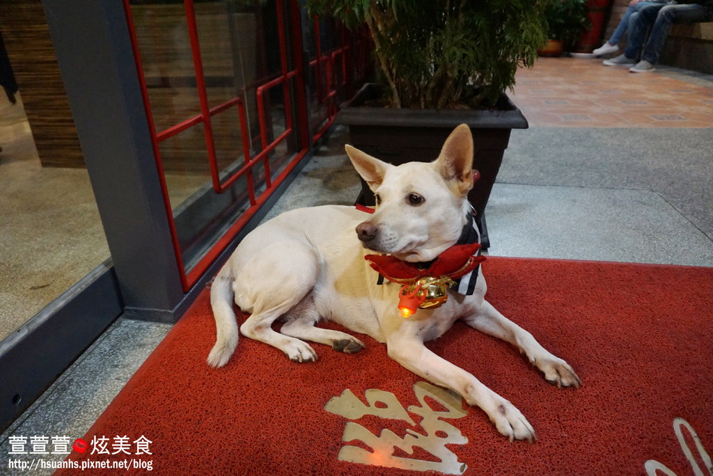 西市 汕頭館 (5).JPG