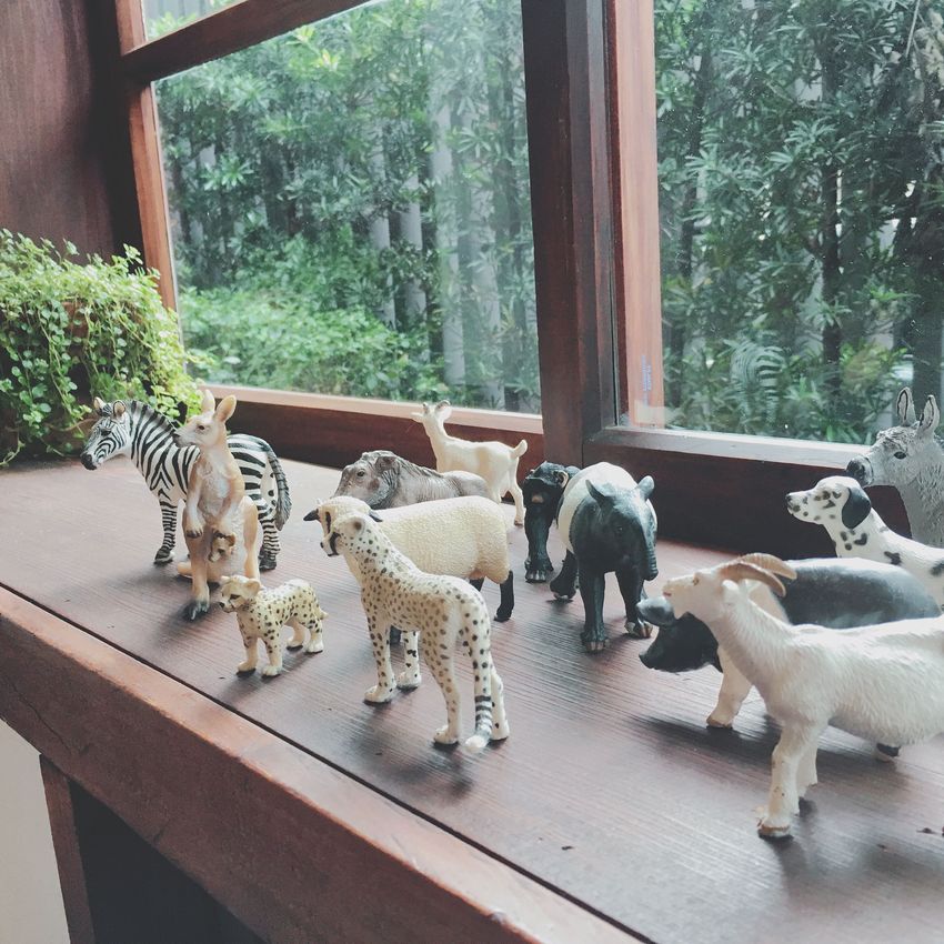 文房Chapter,文房,Chapter,中正區,臨沂街,忠孝新生,免費,圖書館,日式建築,日式老宅,文創,檜木,免費,下午茶,閱讀,週末去處,約會,打卡,IG,IG美照,網美,告白,遛小孩,預約,捷運一日遊,公益,日本の建築,台湾を訪れる,ビジネスホテル,free,library,古蹟,Monument,記念碑,我不是他媽媽,忠孝新生捷運站,展覽,文藝,私房景點,週休二日,文青,藝文,董陽孜,一日遊