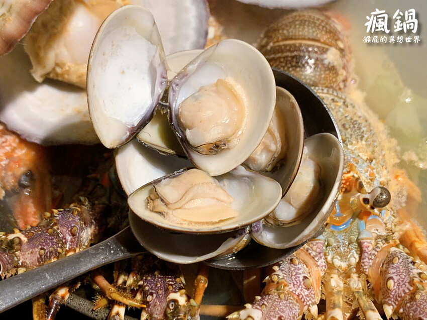 這間火烤兩吃肉盤超大CP值高,瘋寶箱龍蝦海陸鍋超有創意開鍋送戒指,自助吧通通吃到飽,壽星有送生日禮物,貓咪機器人送餐很酷