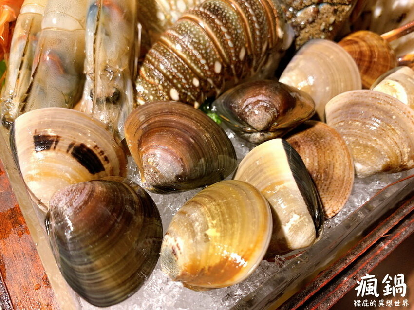 這間火烤兩吃肉盤超大CP值高,瘋寶箱龍蝦海陸鍋超有創意開鍋送戒指,自助吧通通吃到飽,壽星有送生日禮物,貓咪機器人送餐很酷