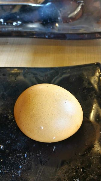 OMAYA春川炒雞(嘉義新生店)：一隻雞貝殼蒸-OMAYA春川炒雞(新生店)  嘉義東區韓式料理 是海鮮盆的升級版  有機會一定要試試