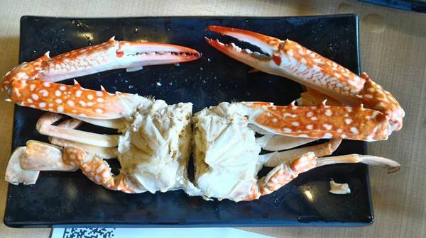 OMAYA春川炒雞(嘉義新生店)：一隻雞貝殼蒸-OMAYA春川炒雞(新生店)  嘉義東區韓式料理 是海鮮盆的升級版  有機會一定要試試