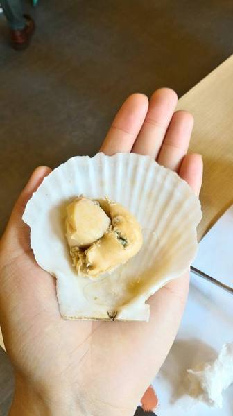 OMAYA春川炒雞(嘉義新生店)：一隻雞貝殼蒸-OMAYA春川炒雞(新生店)  嘉義東區韓式料理 是海鮮盆的升級版  有機會一定要試試