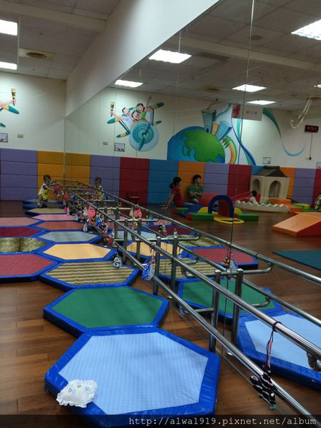 IMG_0795.JPG IMG_0795.JPG