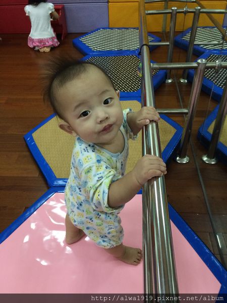 IMG_8956.JPG IMG_8956.JPG