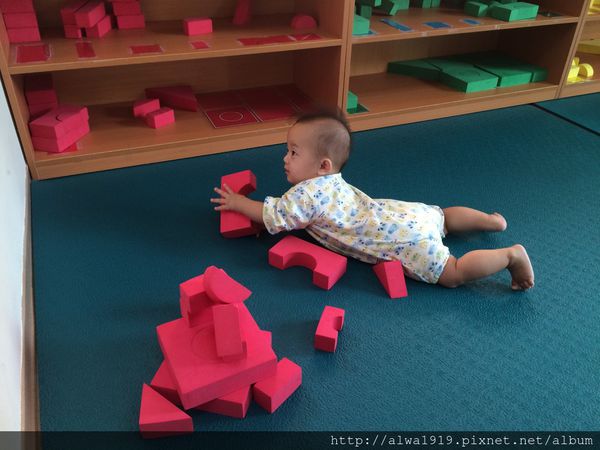 IMG_8929.JPG IMG_8929.JPG