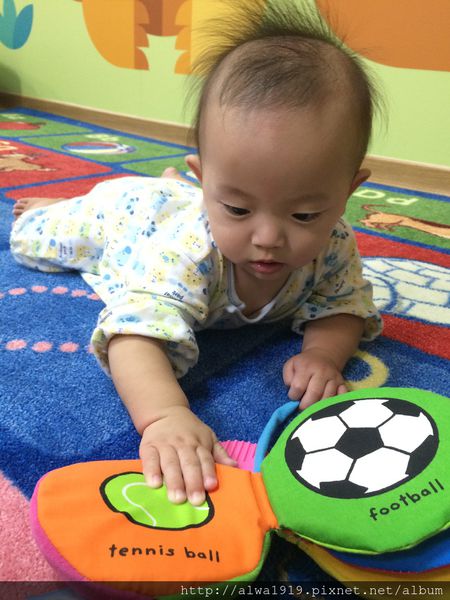 IMG_8963.JPG IMG_8963.JPG