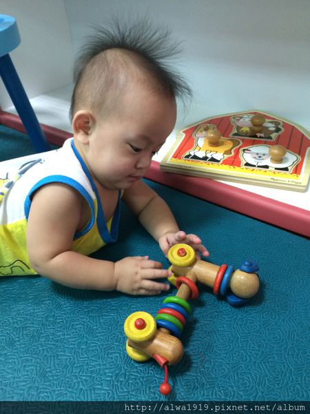 IMG_0805.JPG IMG_0805.JPG