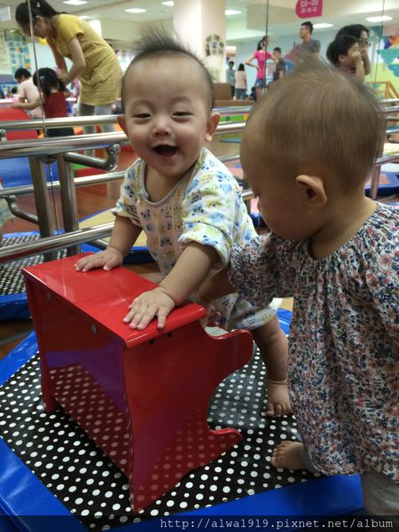 IMG_8893.JPG IMG_8893.JPG