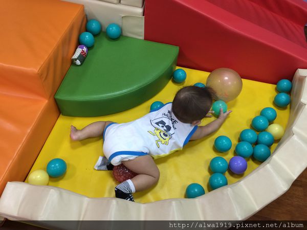 IMG_0785.JPG IMG_0785.JPG