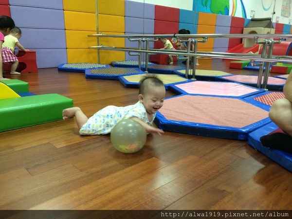 IMG_8876.JPG IMG_8876.JPG