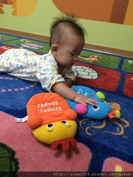 IMG_8965.JPG IMG_8965.JPG