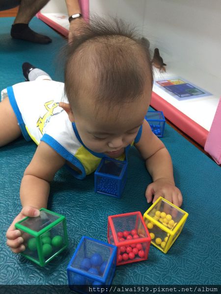 IMG_0800.JPG IMG_0800.JPG