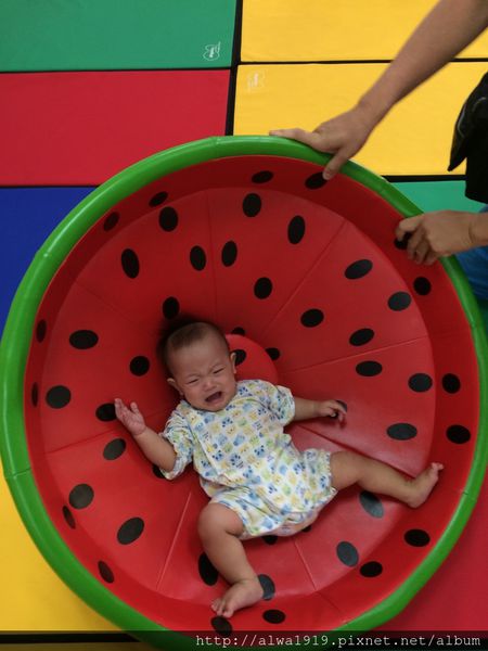 IMG_8933.JPG IMG_8933.JPG