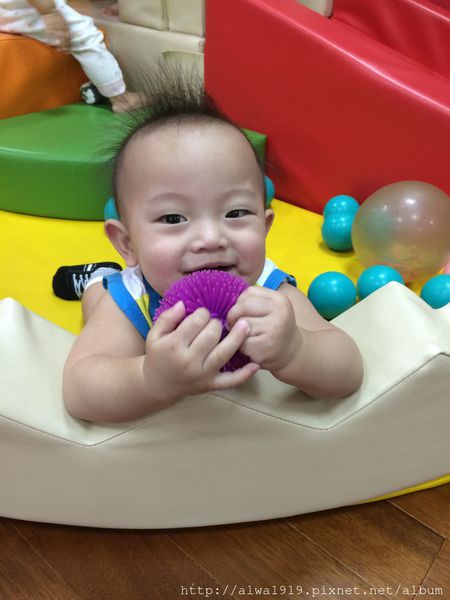 IMG_0787.JPG IMG_0787.JPG