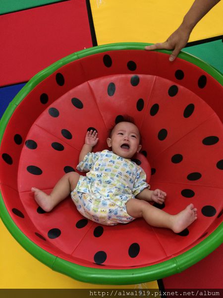 IMG_8935.JPG IMG_8935.JPG