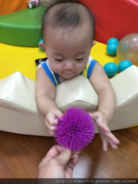 IMG_0792.JPG IMG_0792.JPG