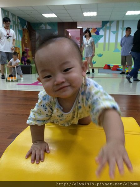 IMG_8862.JPG IMG_8862.JPG