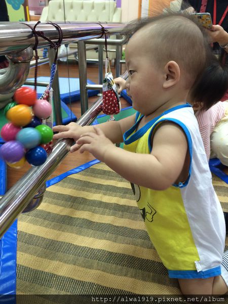 IMG_0772.JPG IMG_0772.JPG