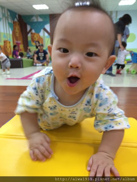 IMG_8861.JPG IMG_8861.JPG