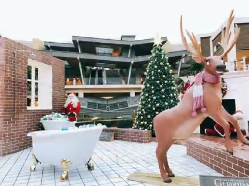 【活動．桃園】華泰名品城聖誕村～穿越的18米華麗聖誕樹、聖誕市集，整點還會浪漫飄雪